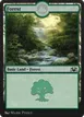 Forest #230