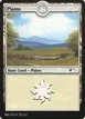 Plains #247
