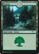 Forest #255