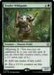 Tender Wildguide #196