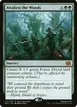 Awaken the Woods #170
