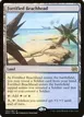 Fortified Beachhead #262