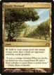 Exotic Orchard #117