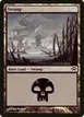 Swamp #143