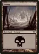 Swamp #146