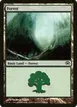 Forest #156