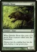 Brindle Shoat #60