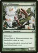 Wall of Blossoms #81