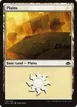 Plains #133