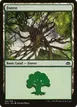 Forest #155