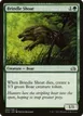 Brindle Shoat #60