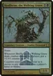 Skullbriar, the Walking Grave #227