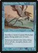 Coastal Hornclaw #31