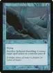 Spiketail Hatchling #49