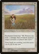 Flowering Field #9