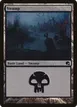 Swamp #29