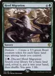 Herd Migration #165