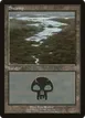 Swamp #10