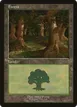 Forest #11