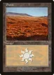Plains #14