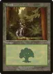 Forest #1