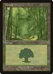 Forest #6