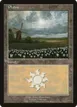 Plains #9