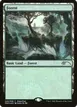 Forest #6