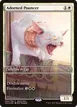Adorned Pouncer #2