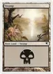 Swamp #24