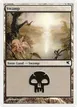 Swamp #58