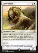 Cubwarden #7