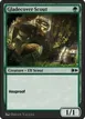 Gladecover Scout #175