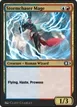 Stormchaser Mage #245