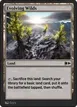Evolving Wilds #261