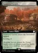 Scattered Groves #1033