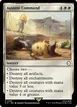 Austere Command #156