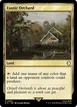 Exotic Orchard #264