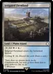 Irrigated Farmland #268