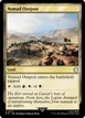 Nomad Outpost #277