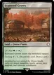 Scattered Groves #286