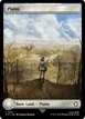 Plains #317