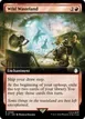 Wild Wasteland #396