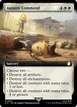 Austere Command #447