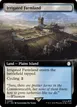 Irrigated Farmland #499