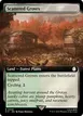 Scattered Groves #505