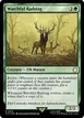 Watchful Radstag #615