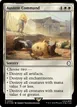 Austere Command #684