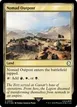 Nomad Outpost #805