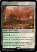 Scattered Groves #814